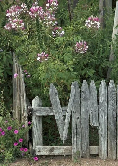 Modern Fence Company Repair