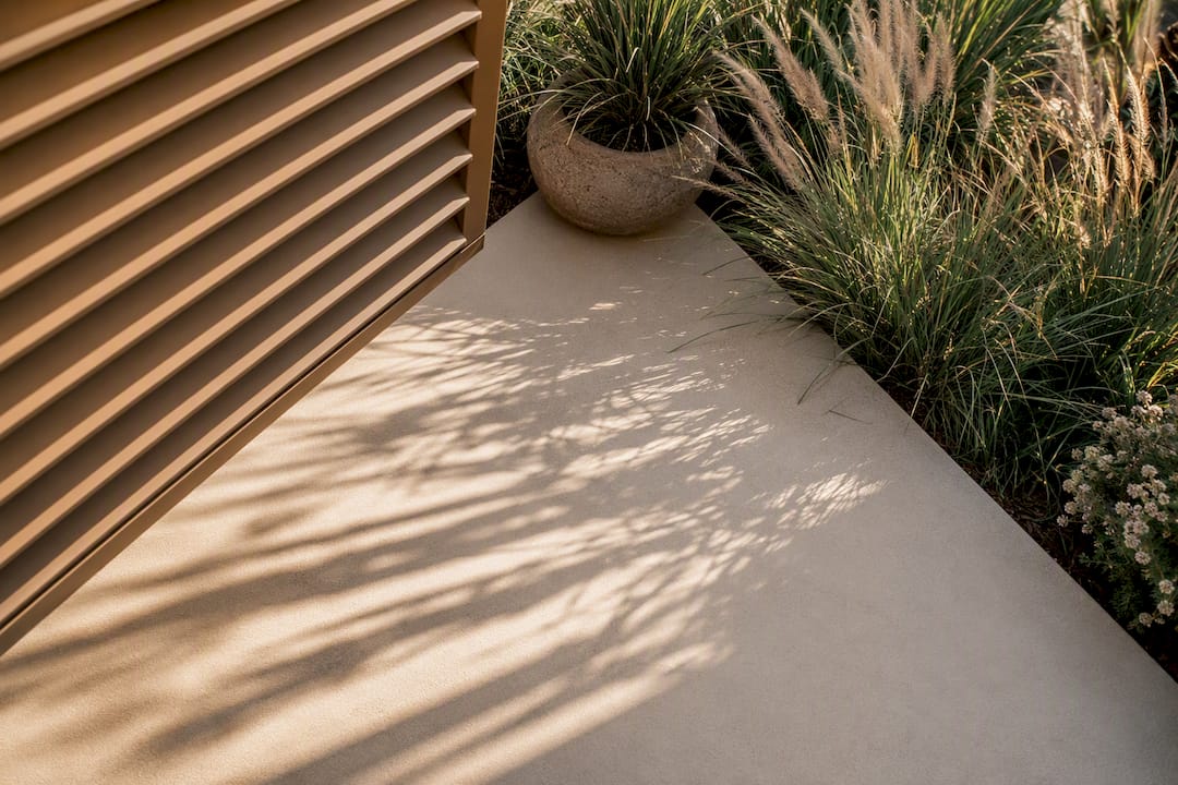 Louvered fence shadows beside ornamental grasses