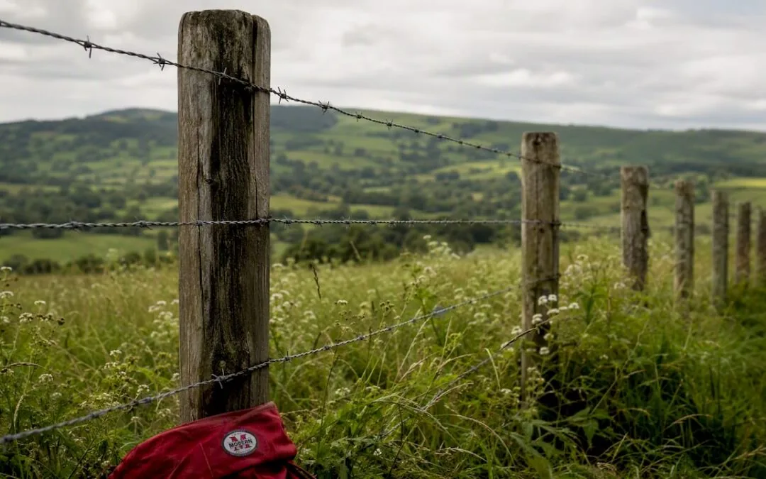 Wire fencing along a pasture boundary