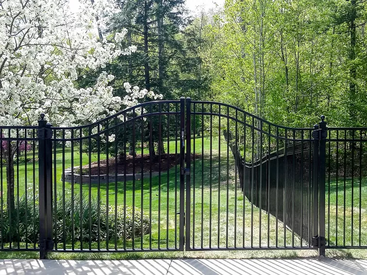 Arched ornamental iron estate gate across a driveway