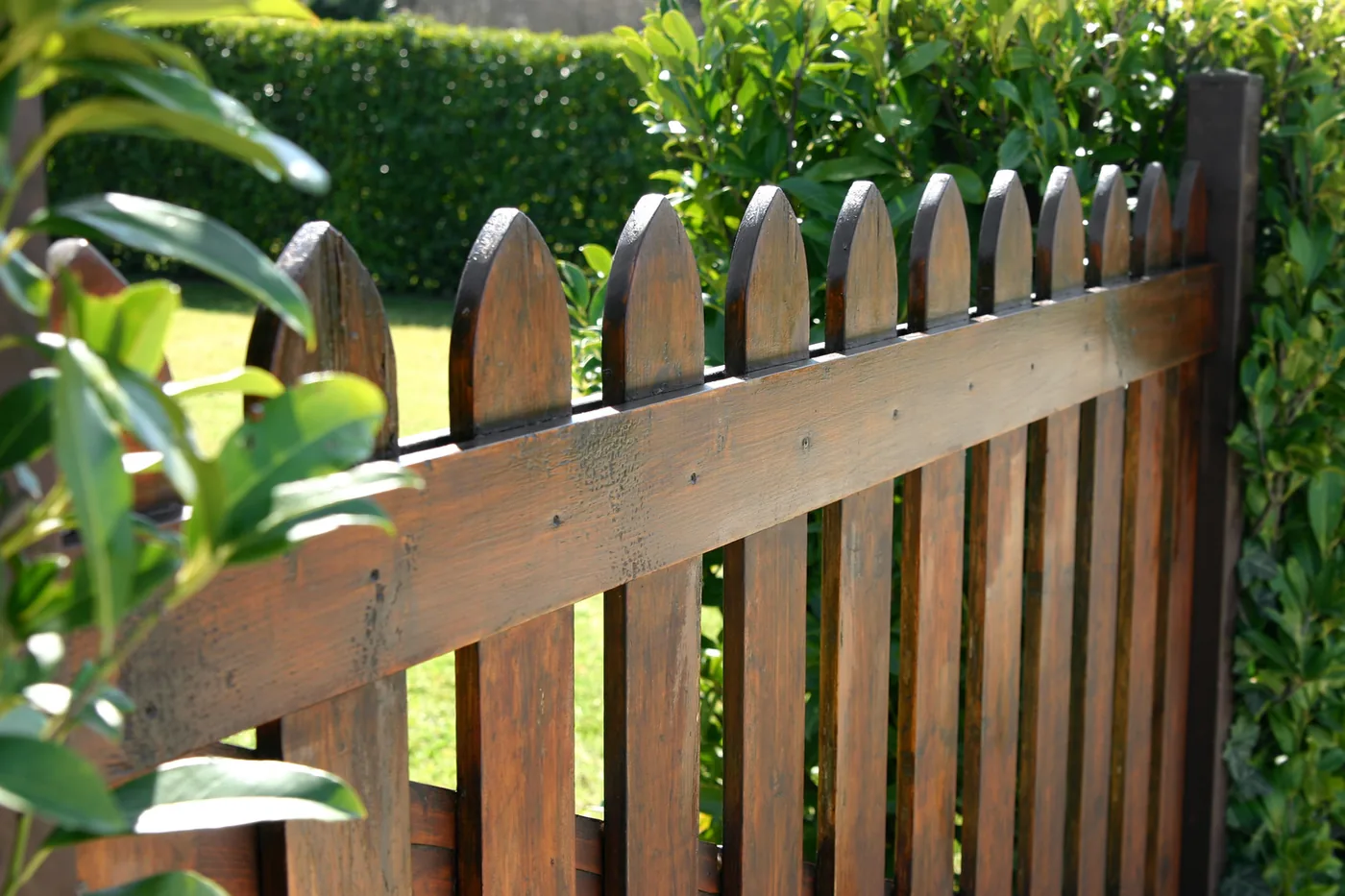 Wood picket fence along a front yard