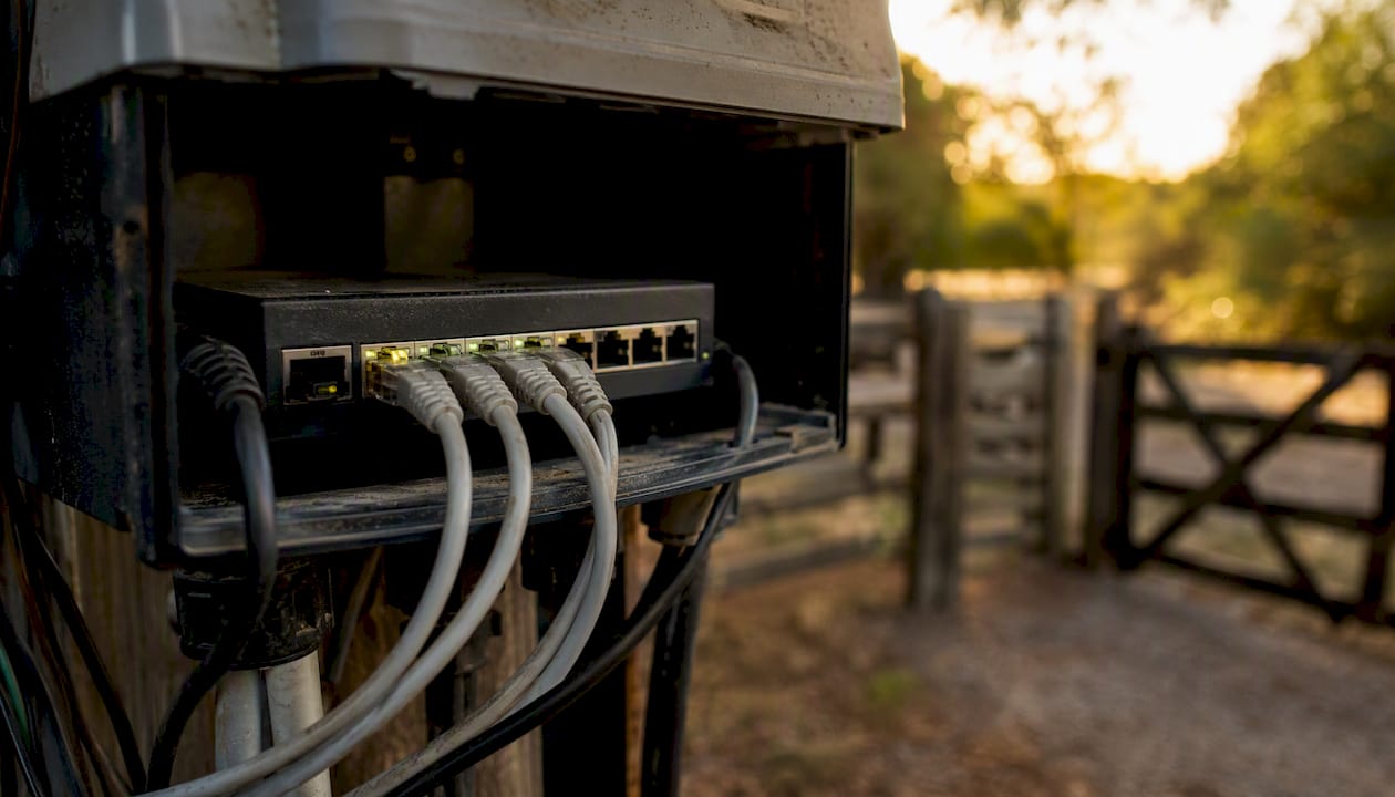 Close-up of Ethernet cables on PoE switch near gate