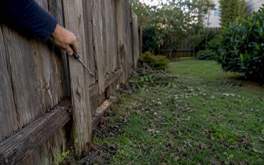 What to Do About Storm Damage Fence Problems Right Now